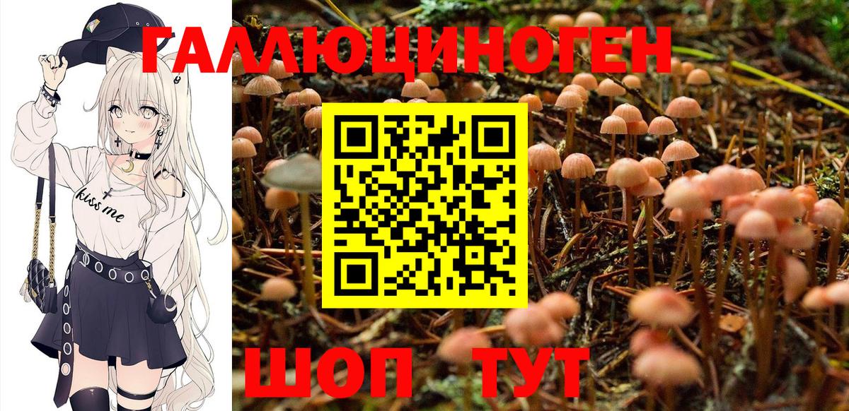 Галлюциногенные грибы Magic Shrooms Сибай