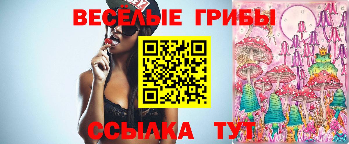 Сибай  Псилоцибиновые грибы Magic Shrooms  Вход с VPN 